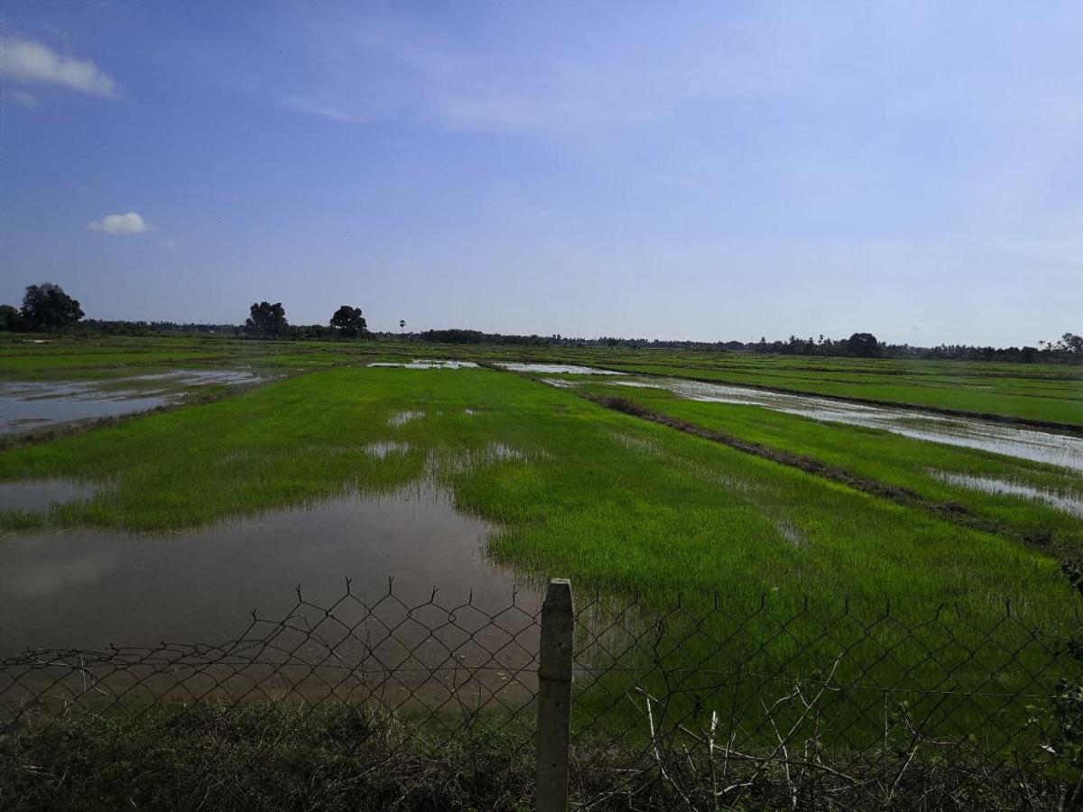 Ummi'S Homestay Besut Kampung Kuala Besut Εξωτερικό φωτογραφία